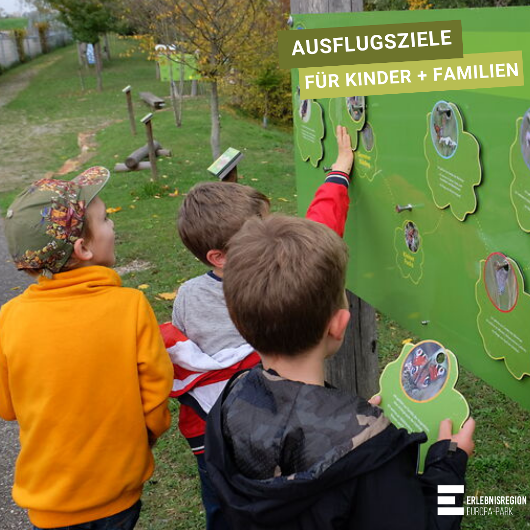 Kinder vor einer Lerntafel